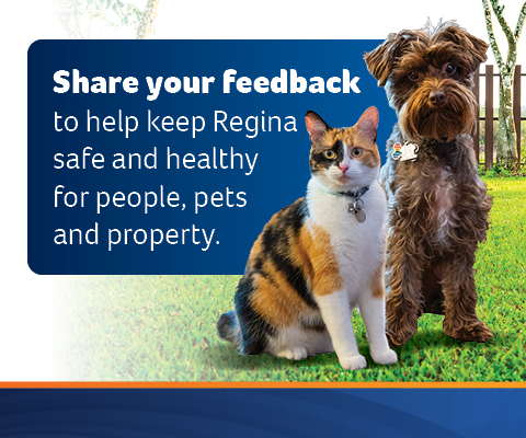 Animal Bylaw Review