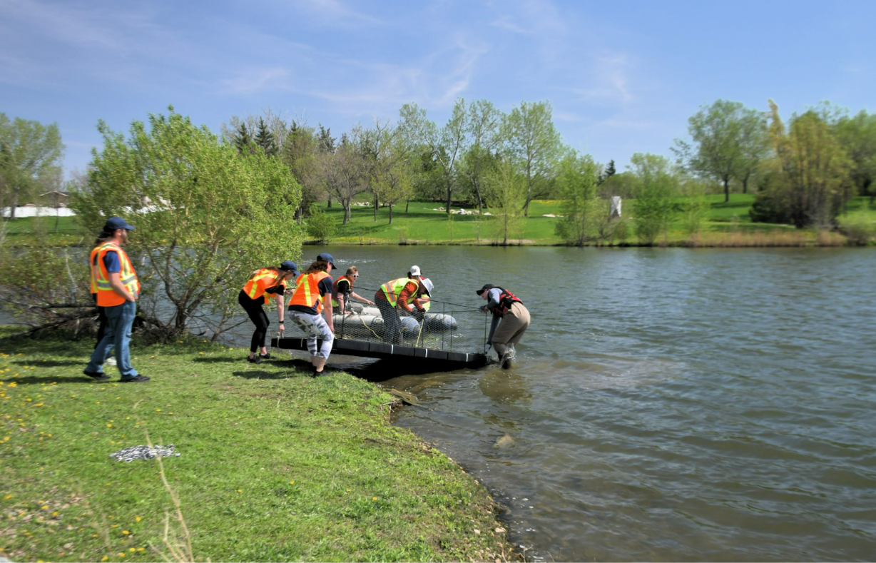 Stormwater Retention Ponds 1 Stormwater Retention Ponds 2