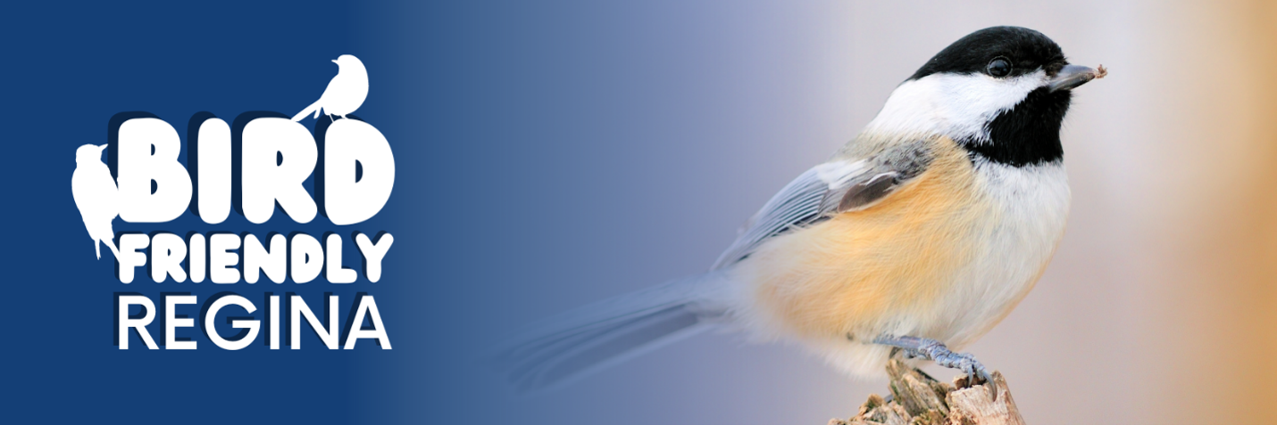 Bird Friendly Regina Banner Bird Friendly Regina Banner