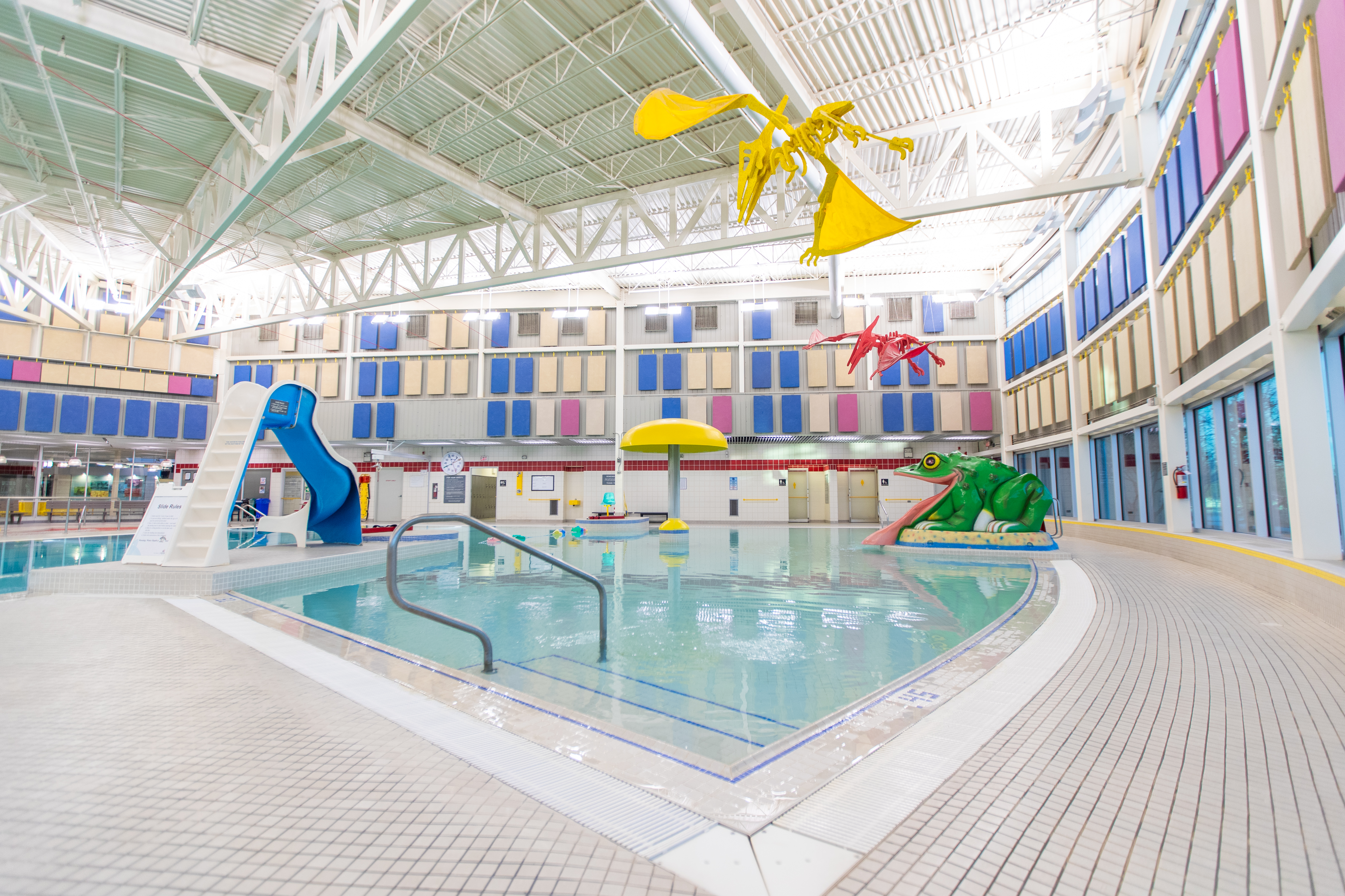 The main pool at the SSLC showing steps into the pool, the water slide, frog slide, and umbrella rain tree.