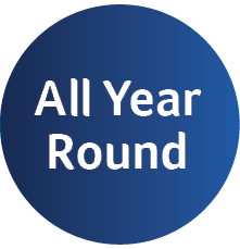 All Year Round All Year Round